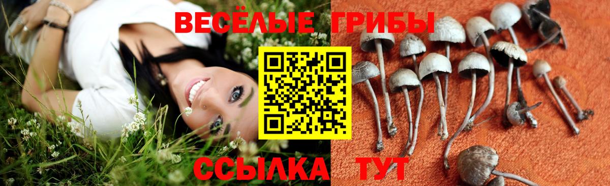 Галлюциногенные грибы прущие грибы Семилуки