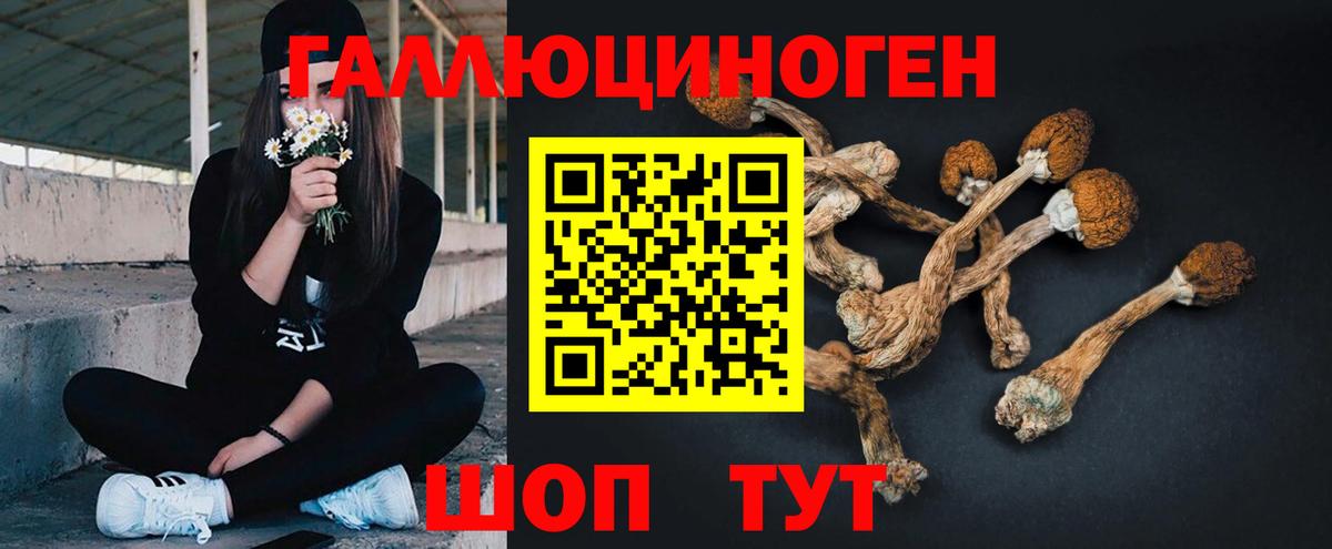 Галлюциногенные грибы ЛСД  Вход с VPN  Семилуки  Псилоцибиновые грибы Psilocybine cubensis 