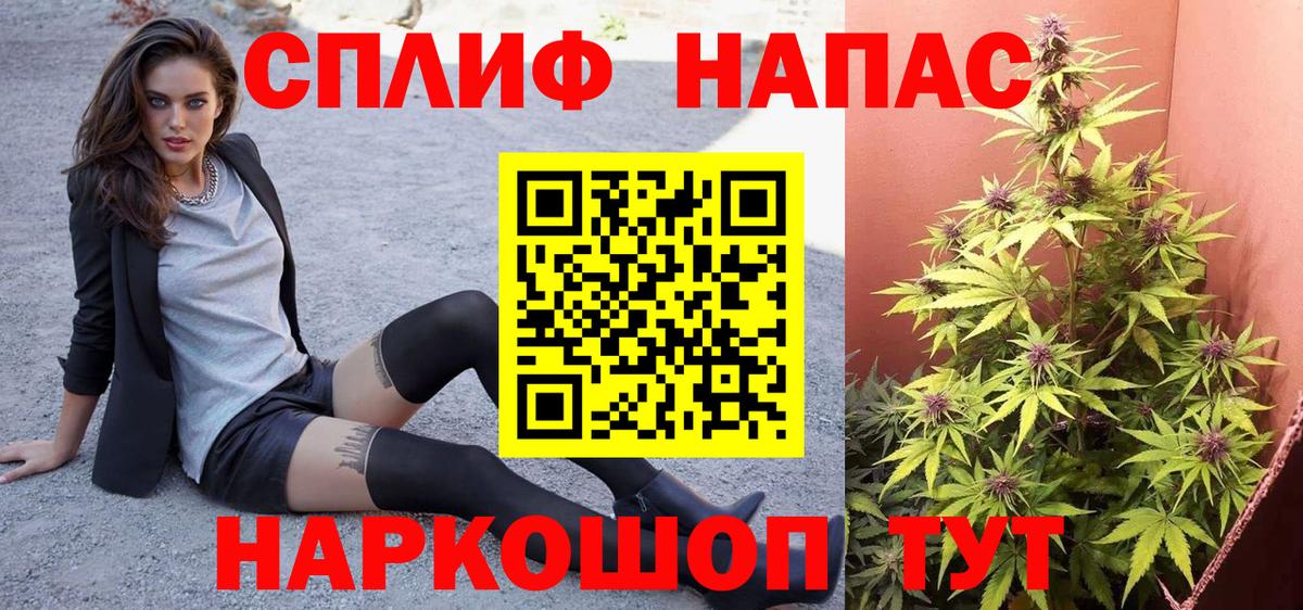 Шишки марихуана Amnesia  Бошки марихуана марихуана  Вход с VPN  Бошки марихуана семена  Семилуки  Каннабис гибрид 